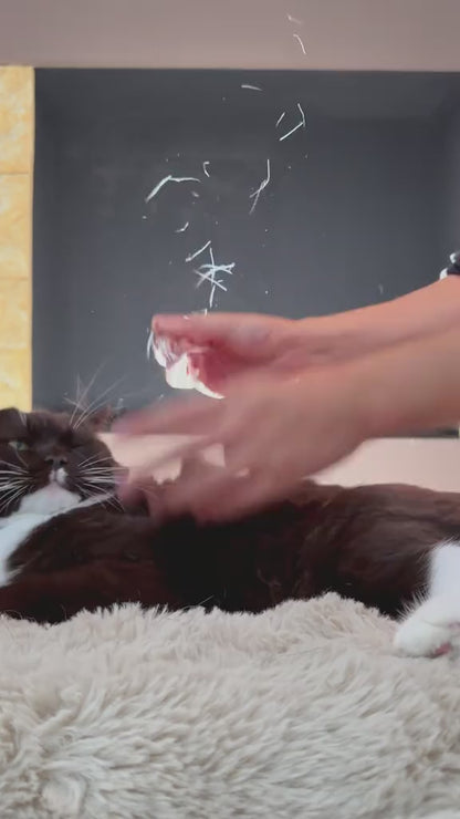 Premium Pet Grooming Steamer